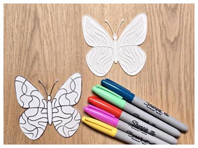 Cute Butterfly DIY Coloring 8