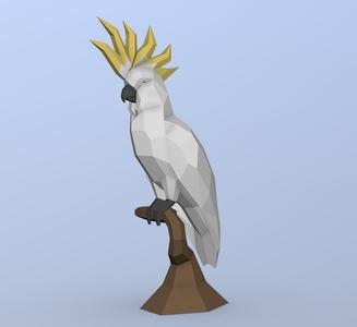 Cockatoo