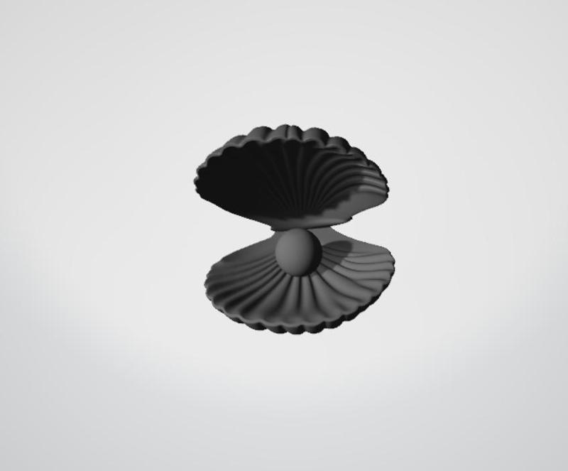 shell decoration