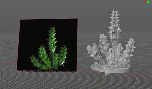 Small Cactus on floor.