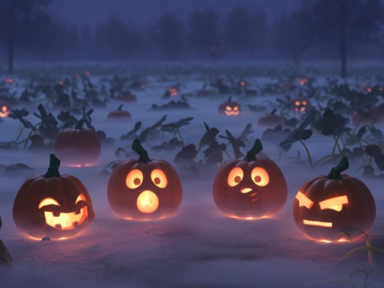 Pumpikin Crew 
