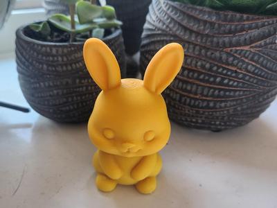 Cute Chubby Bunny