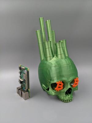 Skull of Satoshi