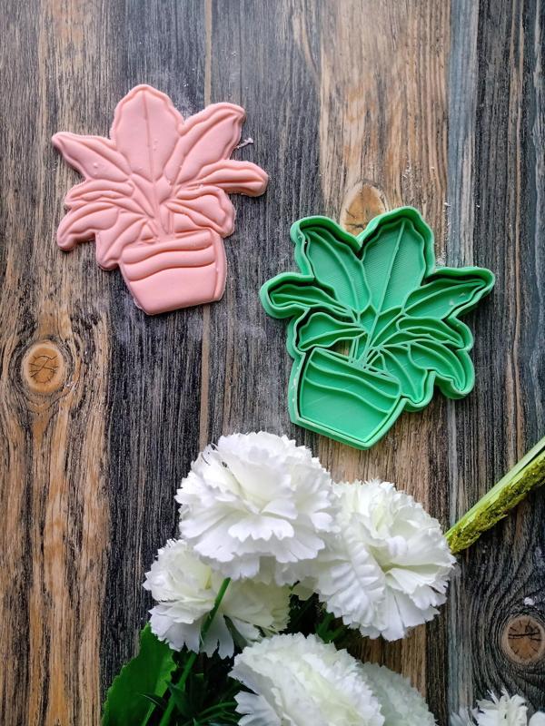 Set x 4 Cortantes Plantas Floral Cookie Galletitas