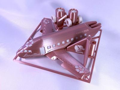 Lara Bee Dream Plane Toy Kit Card