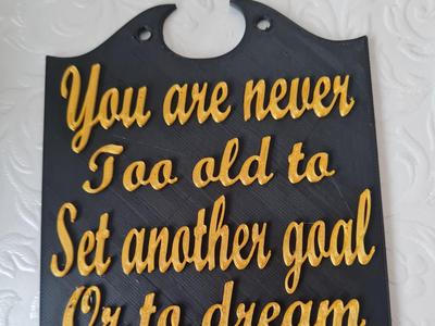 You Are Never Too Old..." Dual-Color Plaque