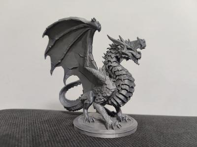 Ashenwing – The Grey Dragon