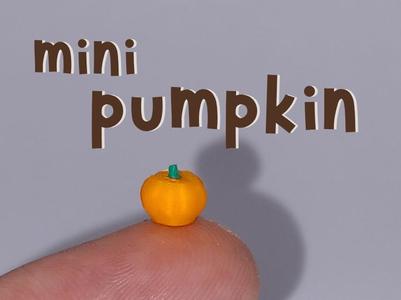 tiny mini pumpkin 