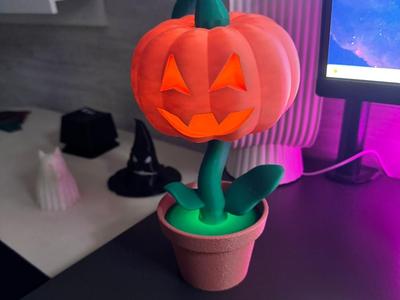 Halloween plant 