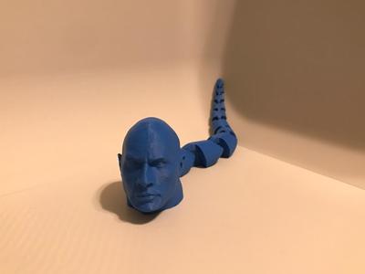 rocktosnake