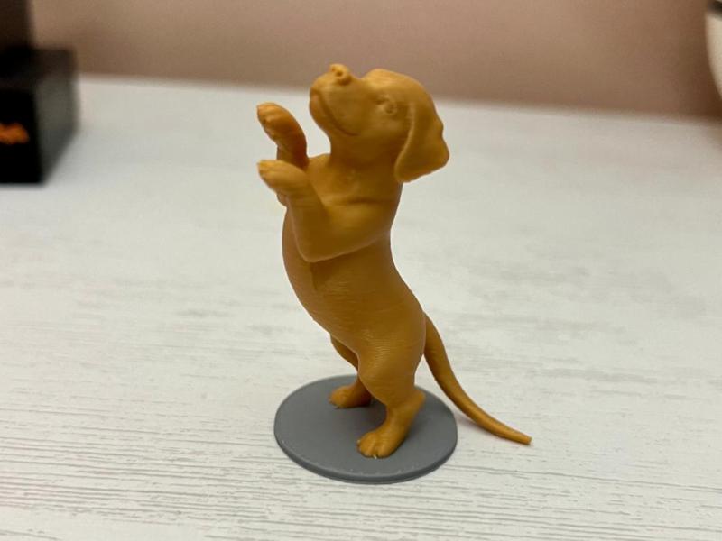 Puppy Standing Up Reaching