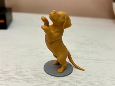 Puppy Standing Up Reaching