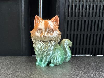 Fluffy Cat