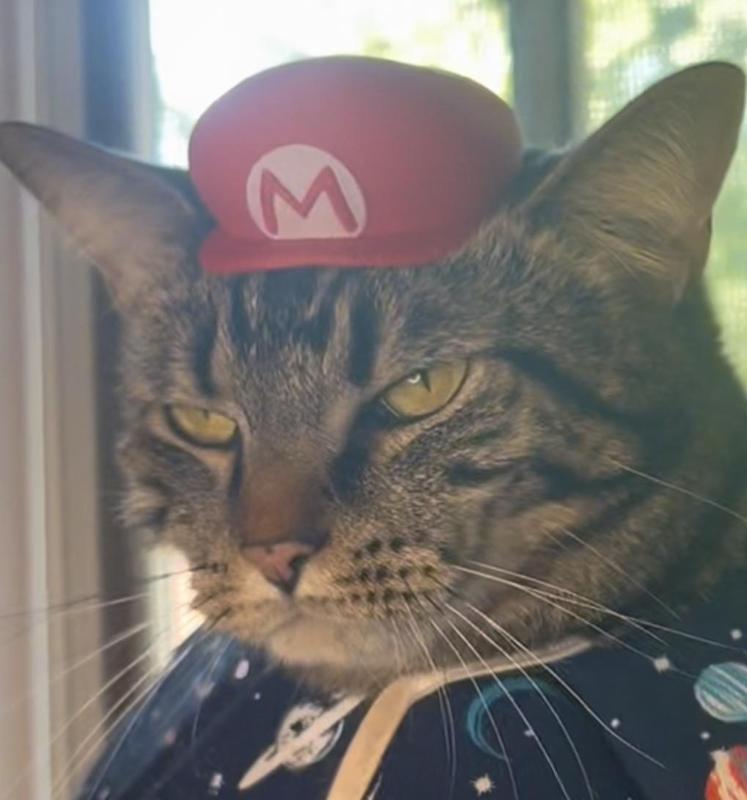 Mario Cat Hat