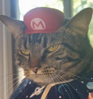 Mario Cat Hat