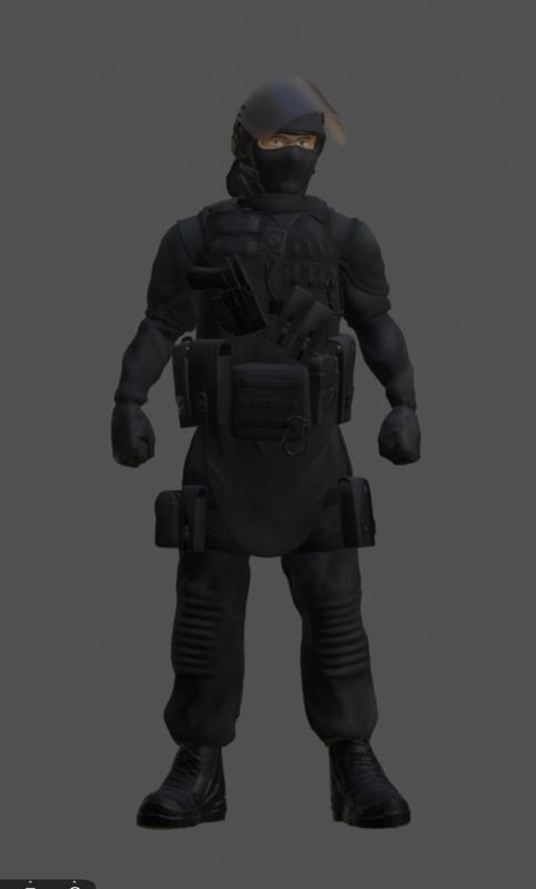 GIGN GIPN RAID POLICE GENDARMERIE SWAT BRI