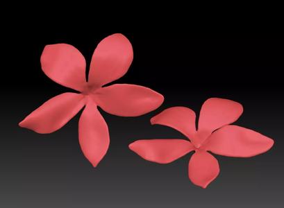 frangipani Model 3D printing  STL Flower sculpture ZB brush