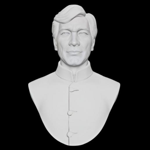 Traditional Chinese Collar Shirt Bust