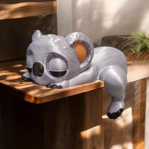 Sleeping Koala On A Shelf