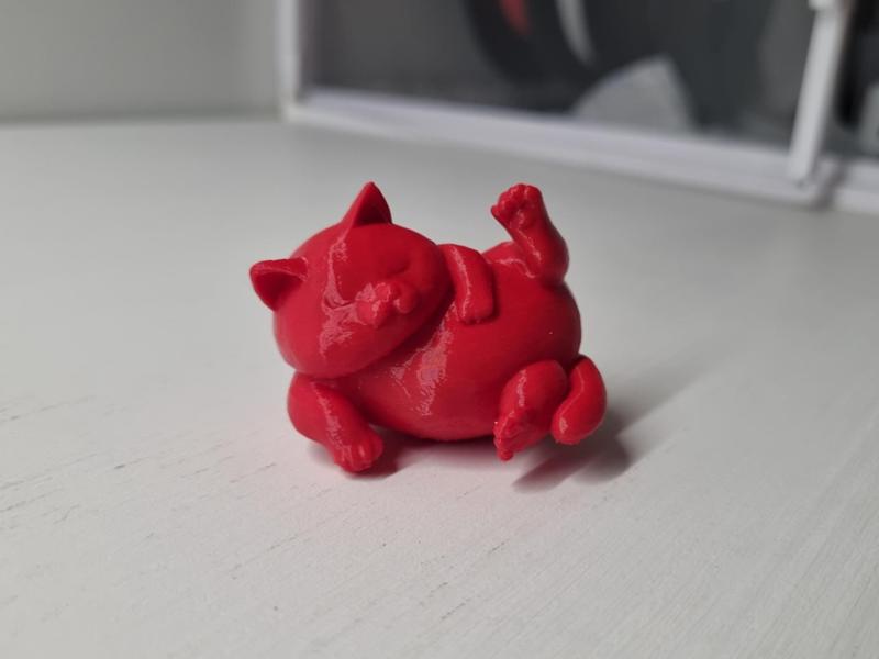 Plump Little Sleeping Cat