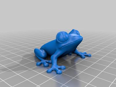 Tree Frog Magnet