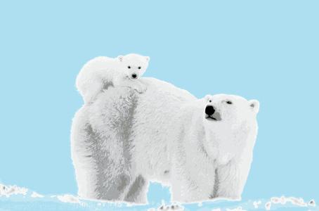 Hueforge - Mom Polar Bear With Baby on Back
