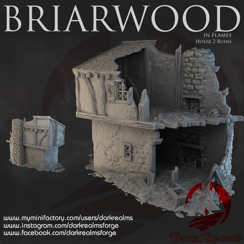 Dark Realms - Briarwood - House 2 Ruins