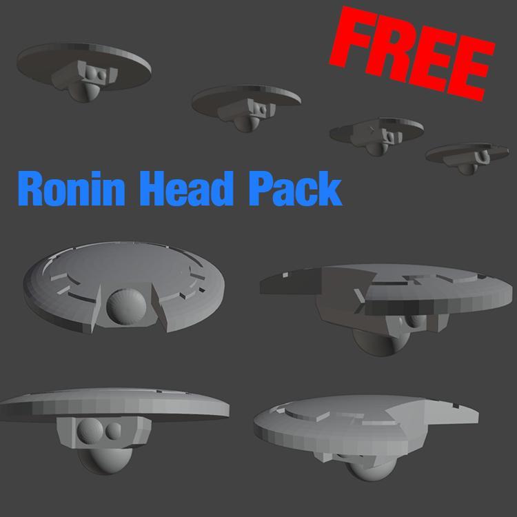 2pi Ronin Heads