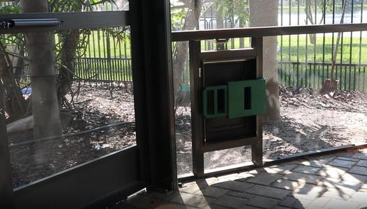 DOGGIE DOOR