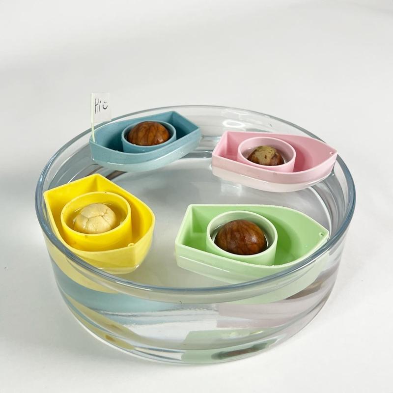 Avocado boat V2.0! Grow your own avocado tree!