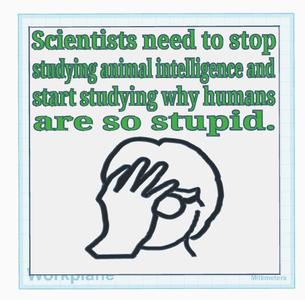 Stupid Humans Sign