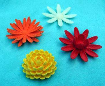 Flower Blossoms