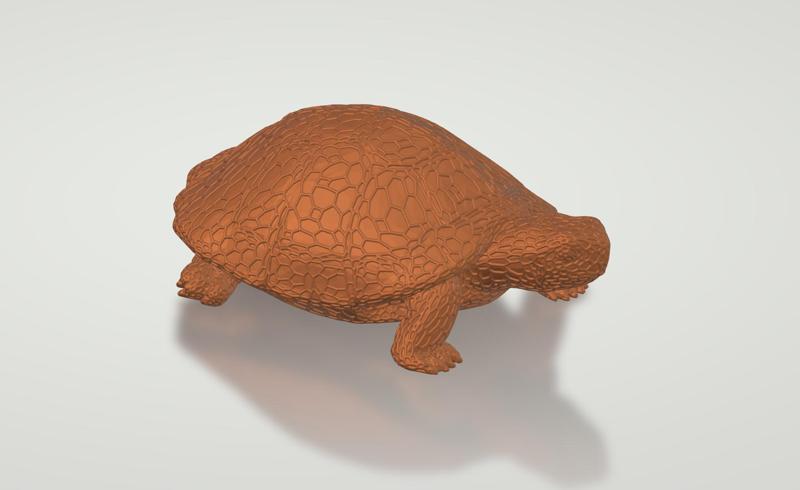 Turtle Voronoi
