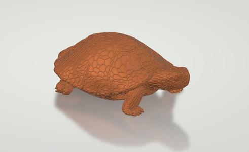 Turtle Voronoi