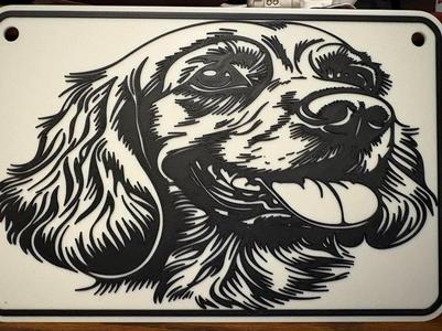 happy dog 981