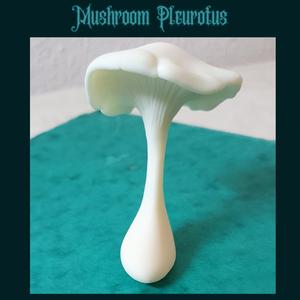 Pleurotu Mushroom realistic