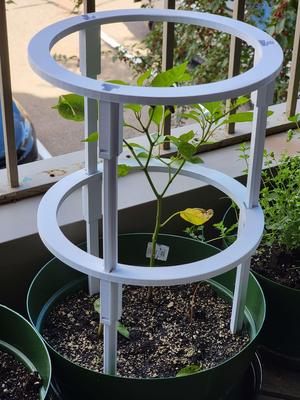 Modular Plant Support