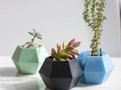 Hexagon Succulent Planter