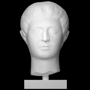Head of a flat-faced young man