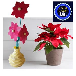 Federal Starflower Poinsettia Flower (Poinsettia Flower)