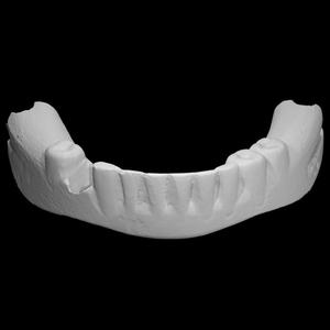 George Washington's False Teeth - Bottom Half