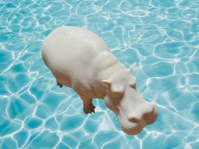 Adorable Scalable Hippopotamus