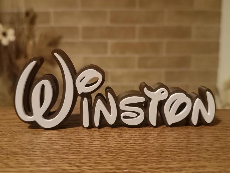 Disney Name Sign Winston Kid Room Wall Decor Tag 