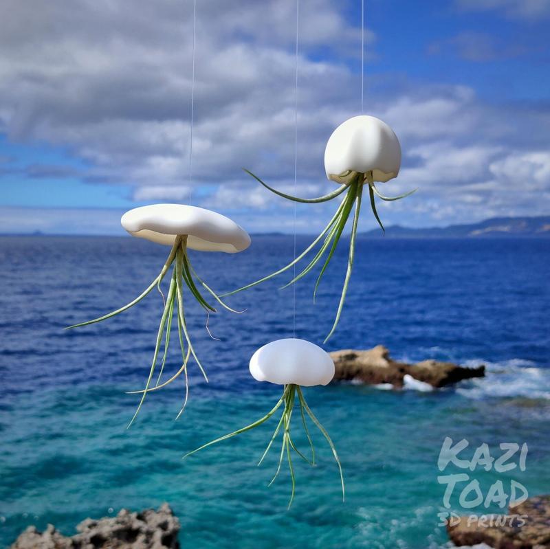 Mini Jellyfish Air Plant holder Set (SLA)