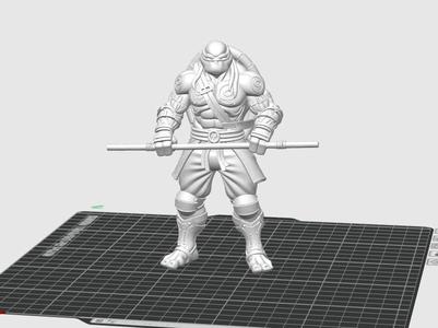 Donatello: Teenage Mutant Ninja Turtle