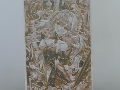 Honkai Star Rail Zhi Geng Bird Relief