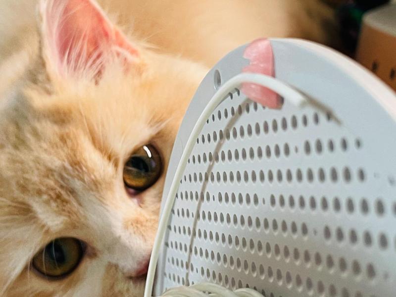 Bambu Studio official Bambu Spool filament clip 1.75mm (boat filament clip)