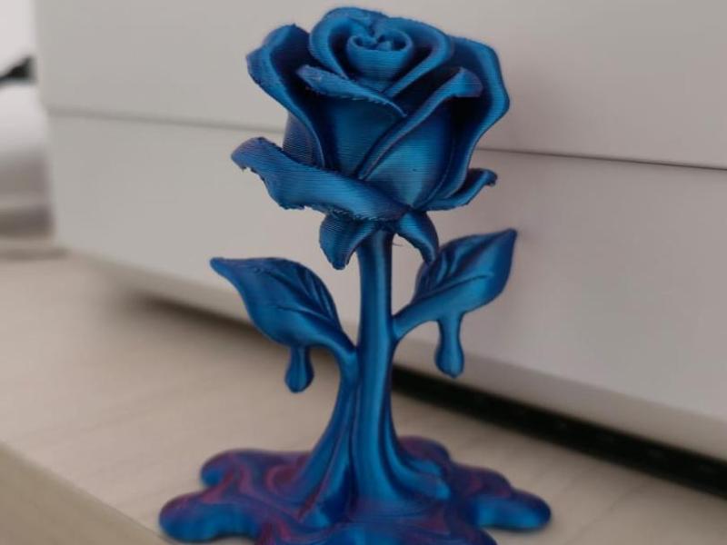 Melting Stem Rose
