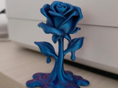 Melting Stem Rose