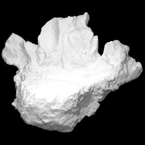 Pathological Mastodon Vertebra (VCU_3D_2896)